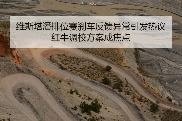 维斯塔潘排位赛刹车反馈异常引发热议 红牛调校方案成焦点 - BaJIeSPORtS