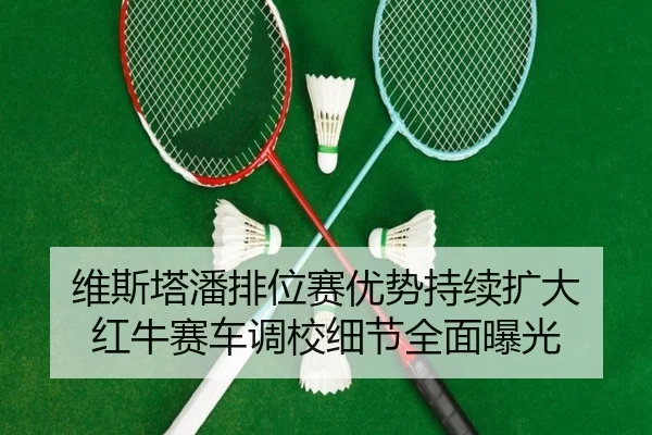 维斯塔潘排位赛优势持续扩大 红牛赛车调校细节全面曝光 - BaJIeSPORtS